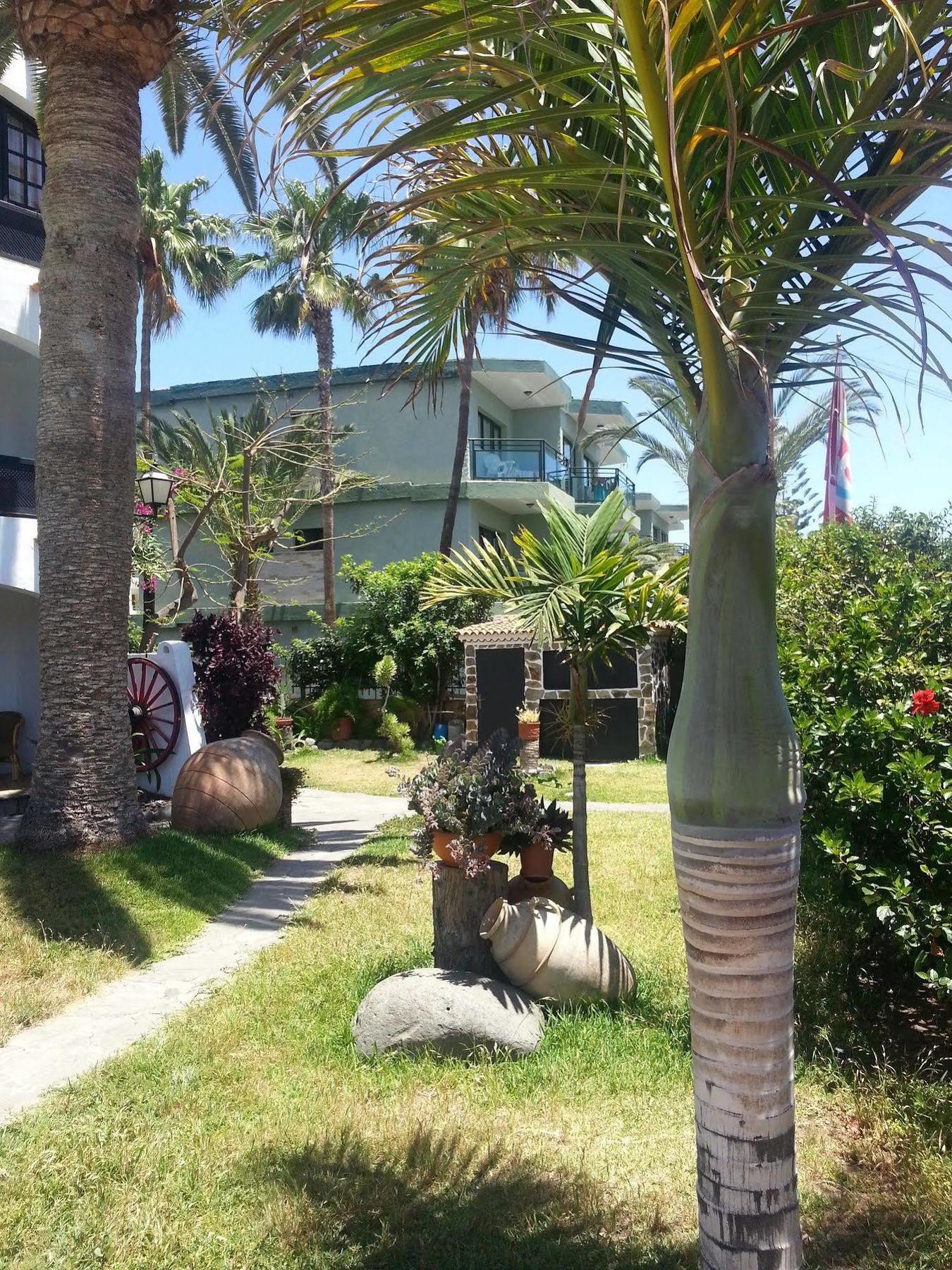 Apartamentos El Chaparral Playa del Inglés Kültér fotó